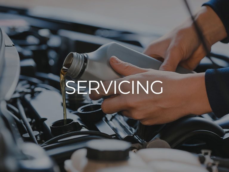 Page-Module-Servicing-02